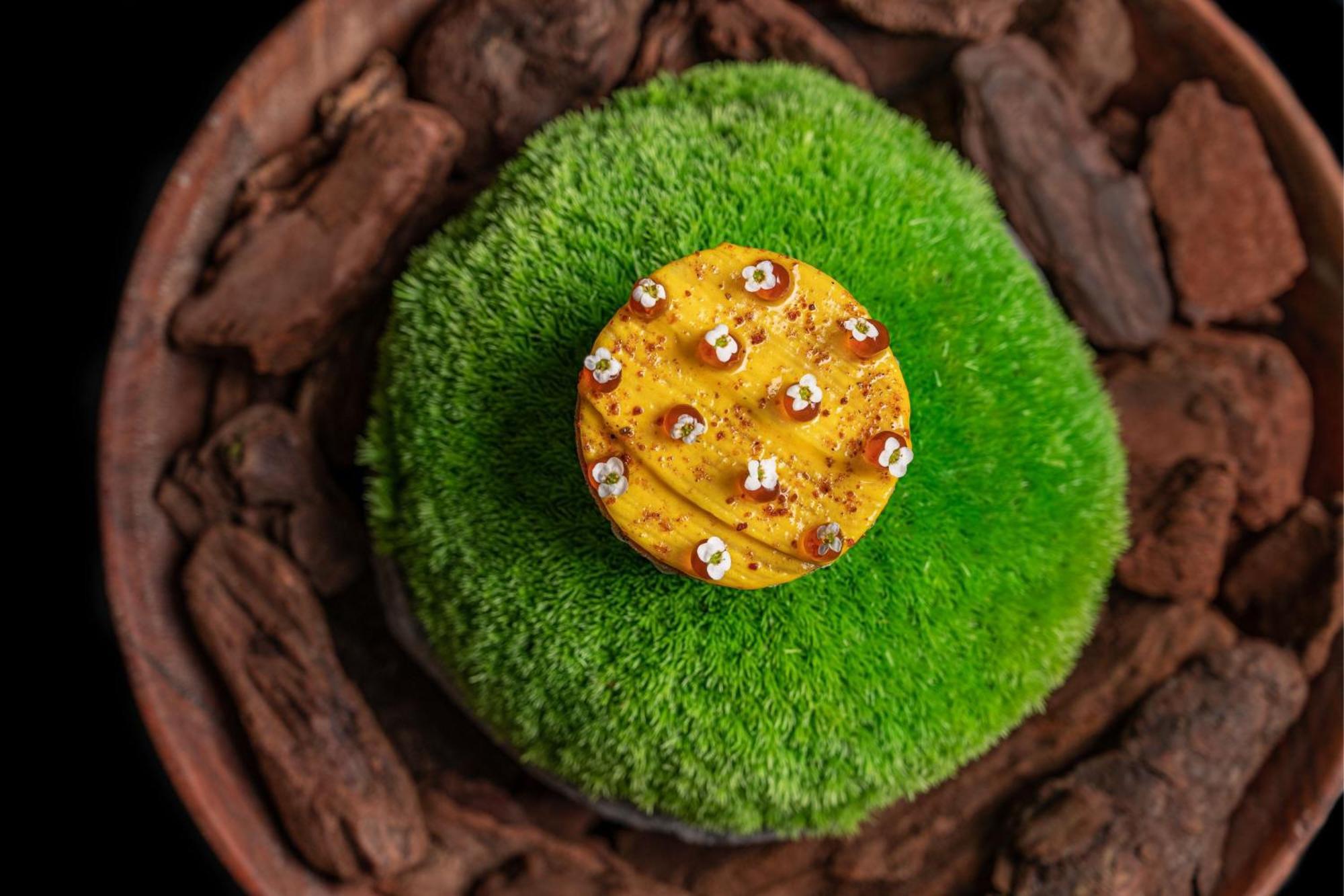 The St. Regis Dubai, The Palm Hotel Bagian luar foto A green velvet ant